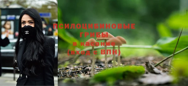 крисы Кукмор