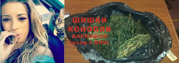 крисы Кукмор