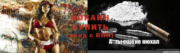 крисы Кукмор